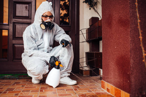 Reliable Ant Control contractor in Fall River, MA by Show Me Pest Control
